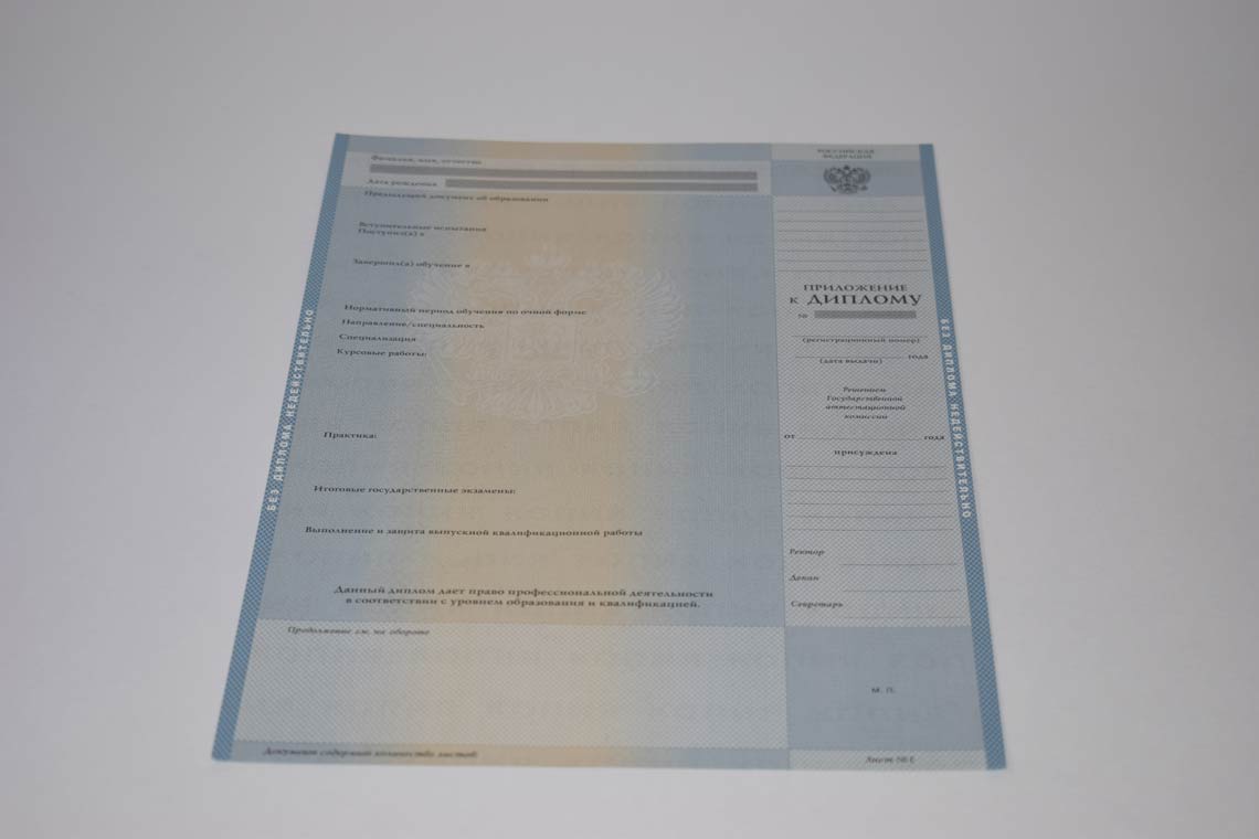 Диплом Магистра с 2003-2008 в Кургане приложение